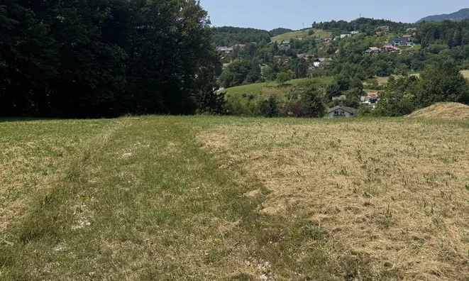 Недвижимость Земельный участок под застройку в Рогашке Слатине: 7