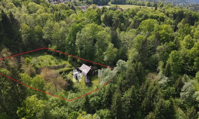 Недвижимость Дом, Равница: 8