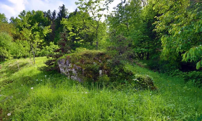 Недвижимость Дом, Равница: 30