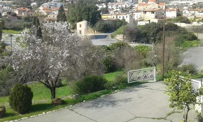 Недвижимость 3 Bedroom Villa For Sale in Agios Tychonas, Limassol.: 13