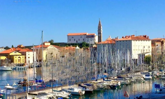 Недвижимость Однокомнатная квартира Пиран: 17