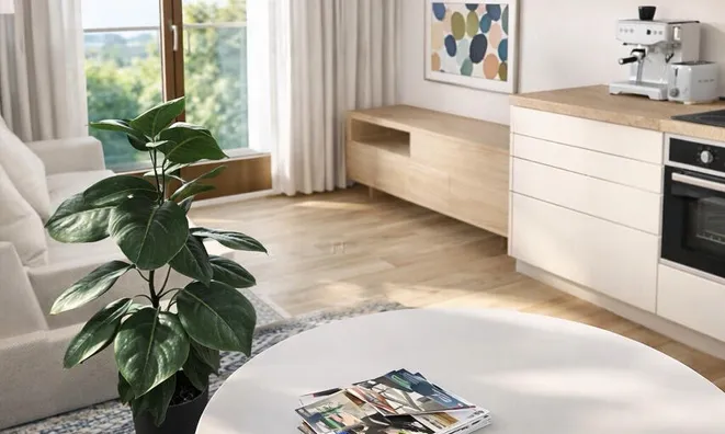 Недвижимость Квартира Апартаменты Новый Сежана: 8