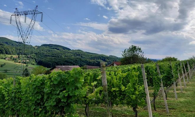 Недвижимость Усадьба Кметияново, Подсреда: 13