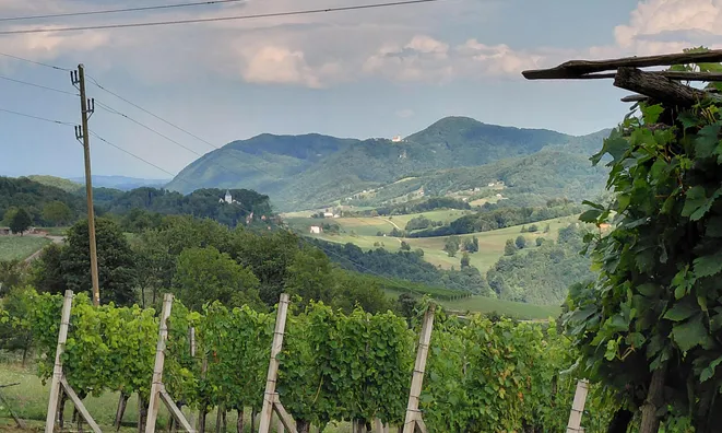 Недвижимость Усадьба Кметияново, Подсреда: 14