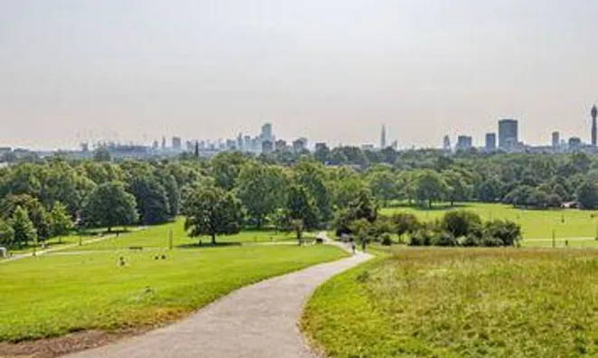 Недвижимость Adelaide Road: 7