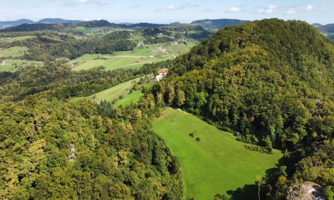 Недвижимость Усадьба, фермерское хозяйство «Велике Горелце»: 10