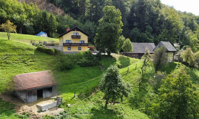 Недвижимость Усадьба, фермерское хозяйство «Велике Горелце»: 12