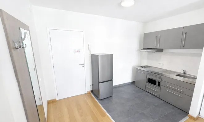 Недвижимость Apartment 1 bedroom for sale in Esch-sur-Alzette: 5