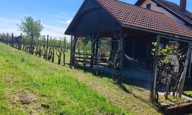 Недвижимость Усадьба Ново Радец, Йесенице-на-Доленьском: 5