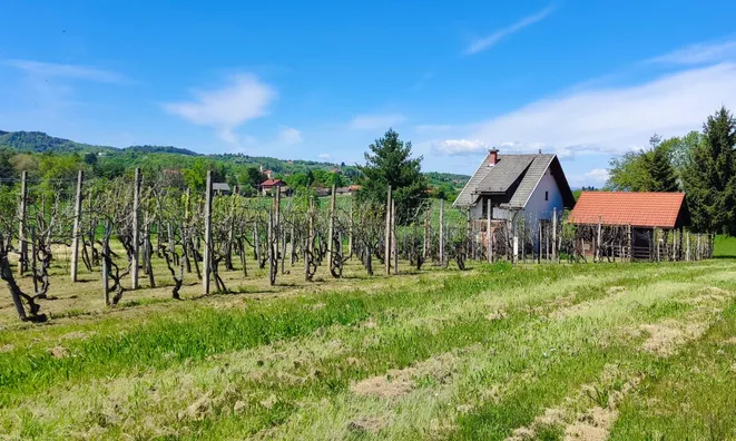 Недвижимость Усадьба Ново Радец, Йесенице-на-Доленьском: 9