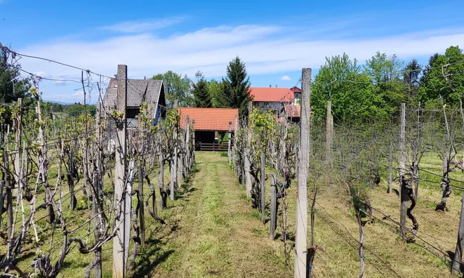 Недвижимость Усадьба Ново Радец, Йесенице-на-Доленьском: 10
