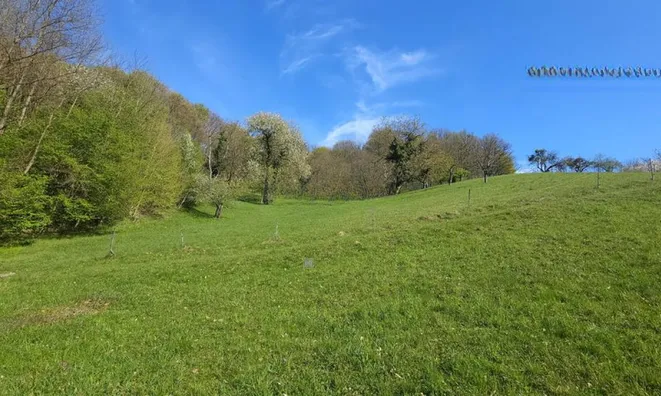 Недвижимость Поместье Кметияново Раскрижье.: 5