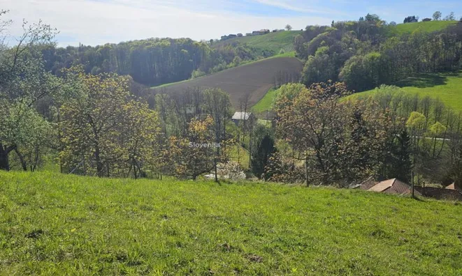 Недвижимость Поместье Кметияново Раскрижье.: 6