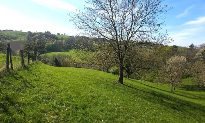 Недвижимость Поместье Кметияново Раскрижье.: 7