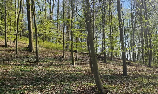 Недвижимость Поместье Кметияново Раскрижье.: 9