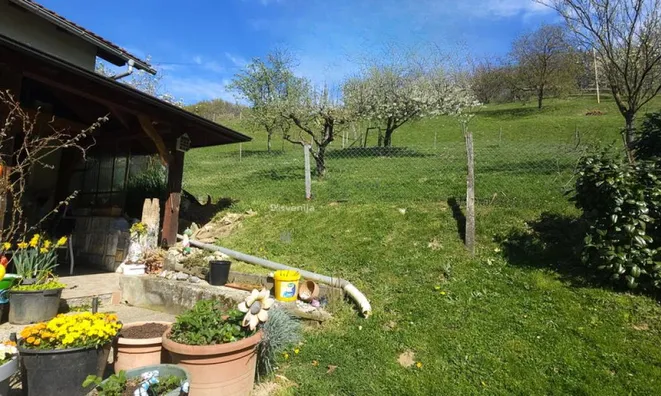 Недвижимость Поместье Кметияново Раскрижье.: 10