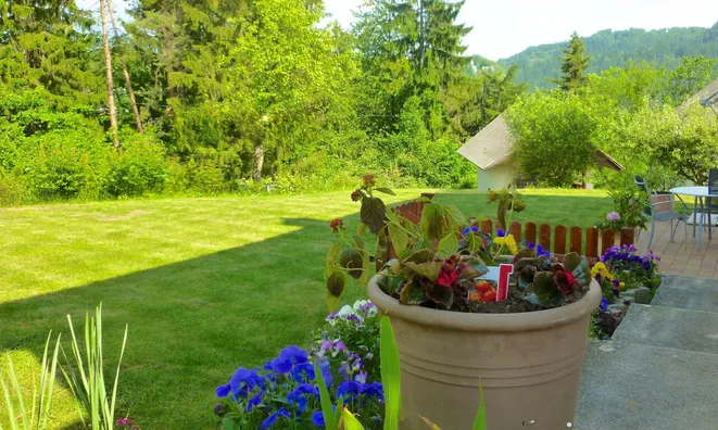 Недвижимость Дом, Рибно: 6