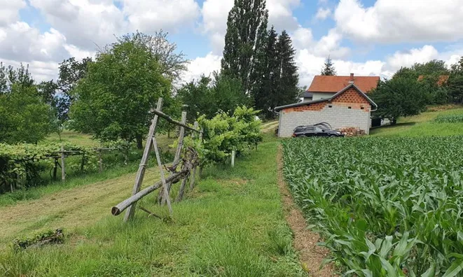 Недвижимость Вурберк: 3