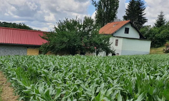 Недвижимость Вурберк: 4