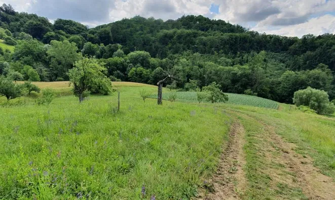 Недвижимость Вурберк: 6