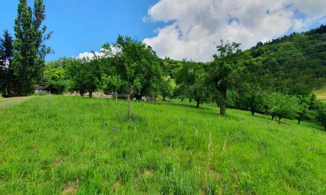 Недвижимость Вурберк: 7