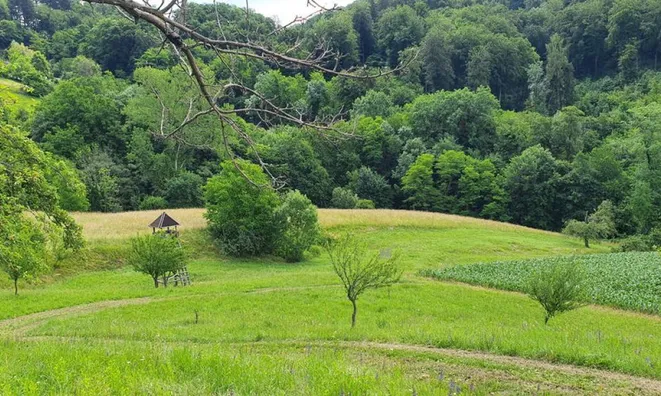 Недвижимость Вурберк: 8