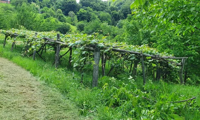 Недвижимость Вурберк: 9