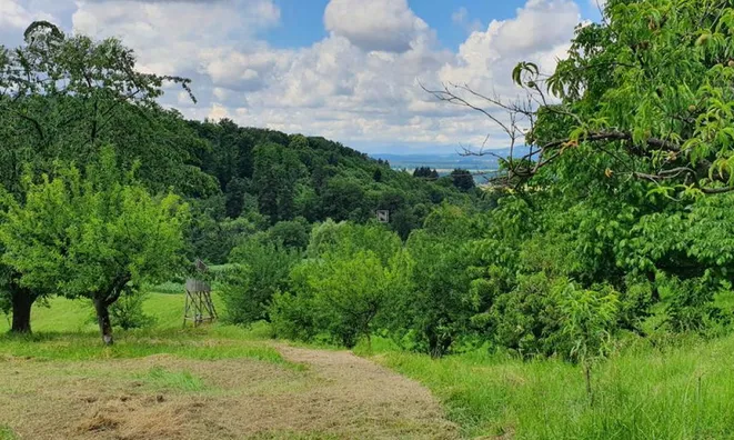 Недвижимость Вурберк: 10