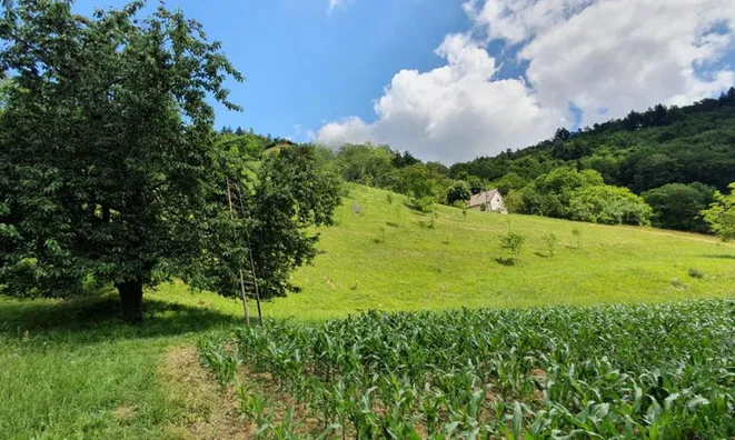 Недвижимость Вурберк: 11