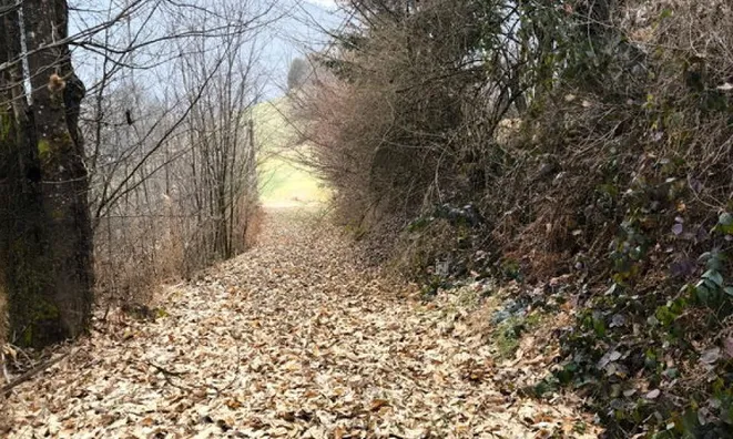 Недвижимость Большая Вершина у Литии: 3