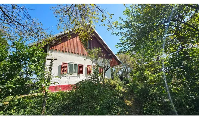 Недвижимость Глобока: 3