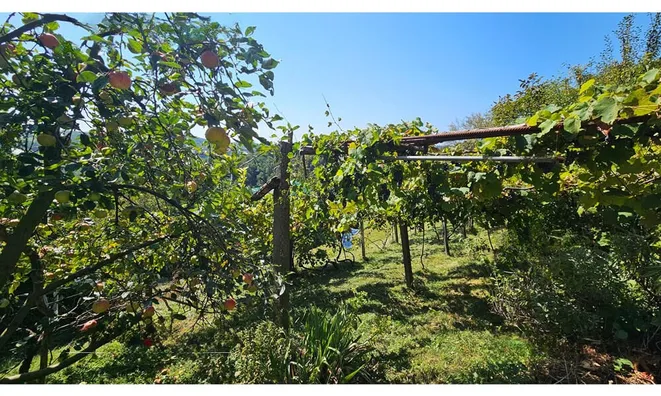 Недвижимость Глобока: 4