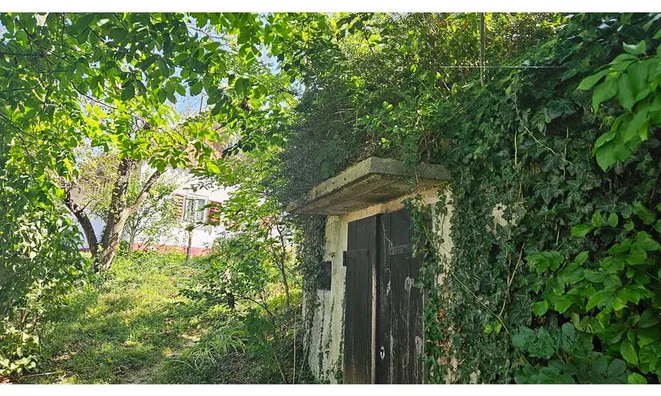 Недвижимость Глобока: 24