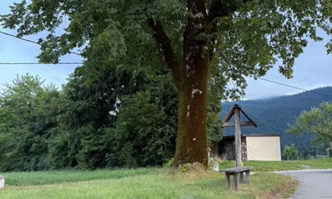 Недвижимость Кот при Рыбнице.: 4