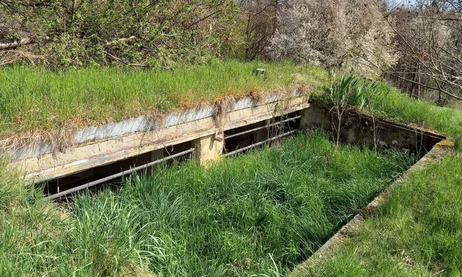 Недвижимость Дракшл, 27, Велика Неделя: 12