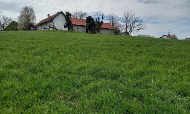 Недвижимость Дракшл, 27, Велика Неделя: 16