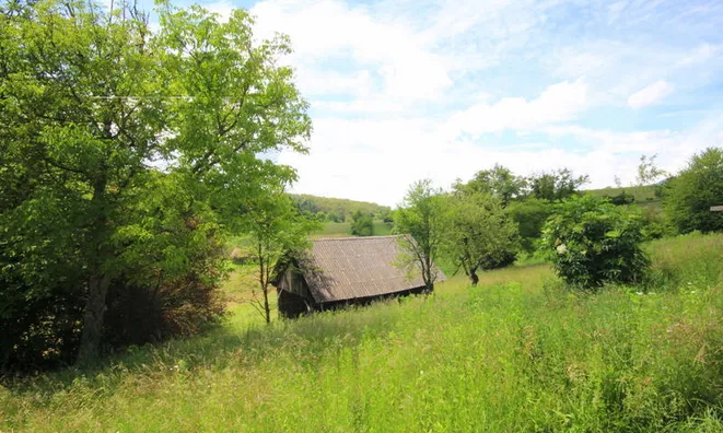 Недвижимость Войско: 19