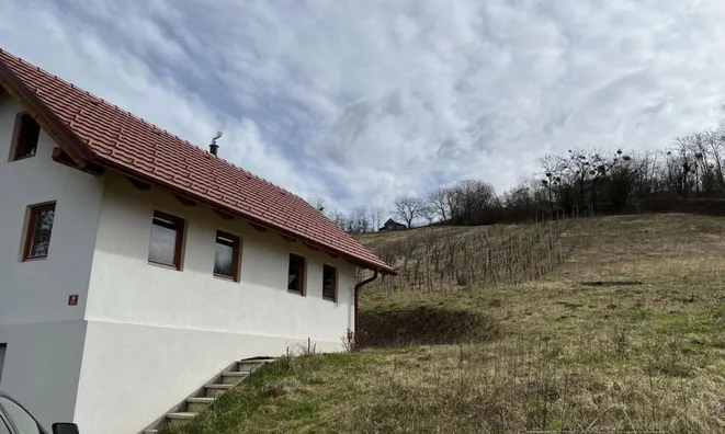 Недвижимость Долина при Лендаве: 2