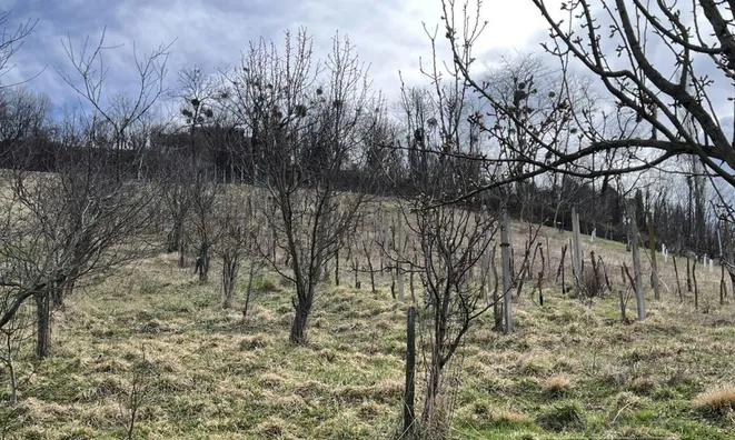 Недвижимость Долина при Лендаве: 22