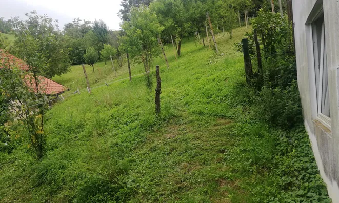 Недвижимость Пустика, Зибика: 5