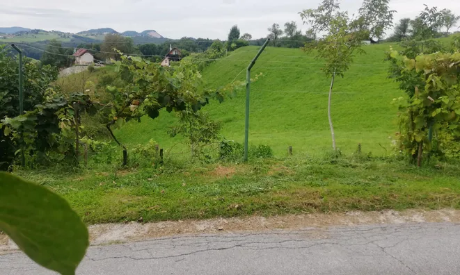 Недвижимость Пустика, Зибика: 8