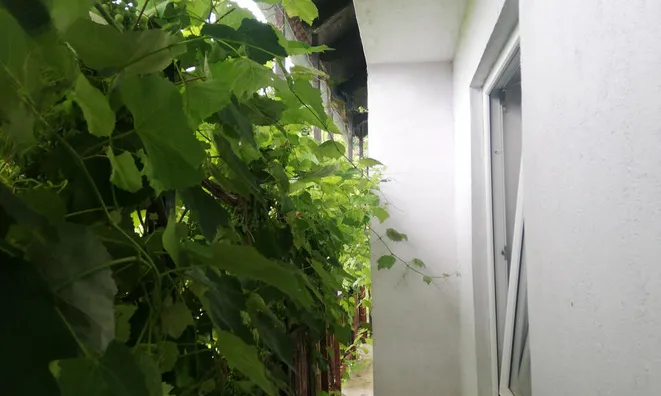 Недвижимость Пустика, Зибика: 14