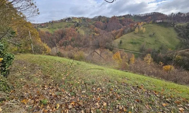 Недвижимость Циркулане, Похорье: 4