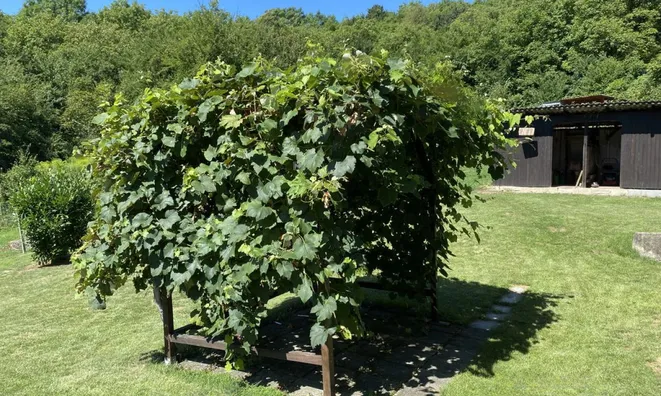 Недвижимость Штриховец.: 5