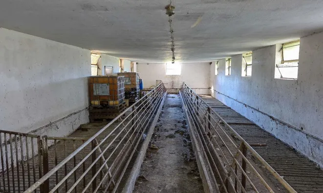 Недвижимость Разкризье.: 19