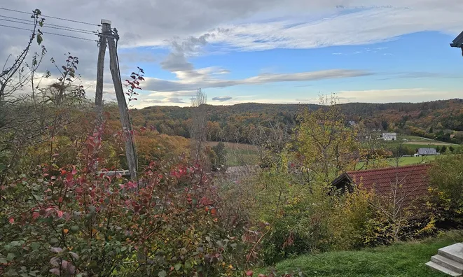 Недвижимость Дрстеля Дом: 10