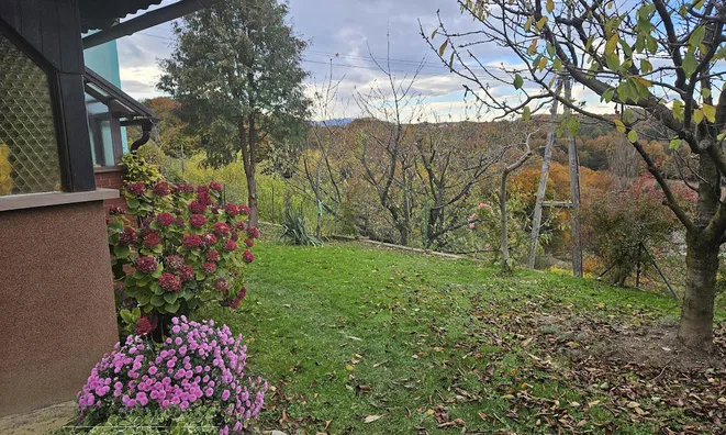 Недвижимость Дрстеля Дом: 11