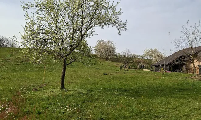 Недвижимость Долина.: 17