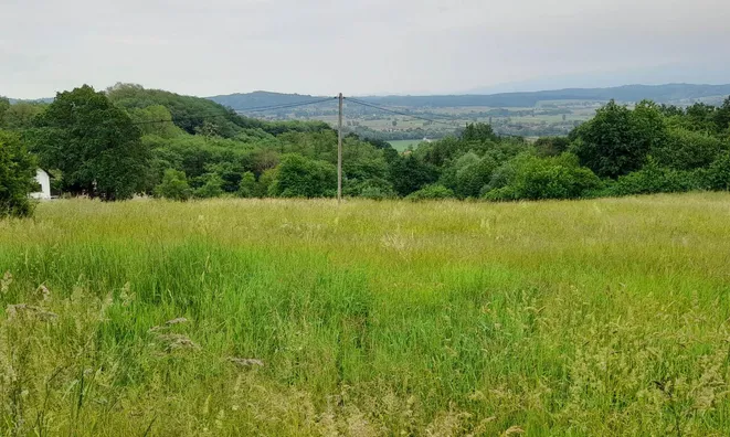 Недвижимость Стара Вась на Бизельском.: 2