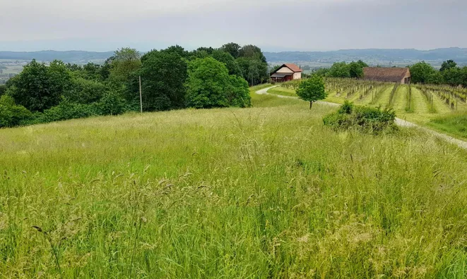 Недвижимость Стара Вась на Бизельском.: 4